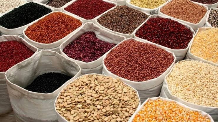 Cameroun : Un lot de 83 tonnes de semences distribué dans les régions septentrionales