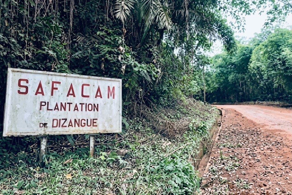 BVMAC : Une transaction sur SAFACAM met fin à deux séances sans échange