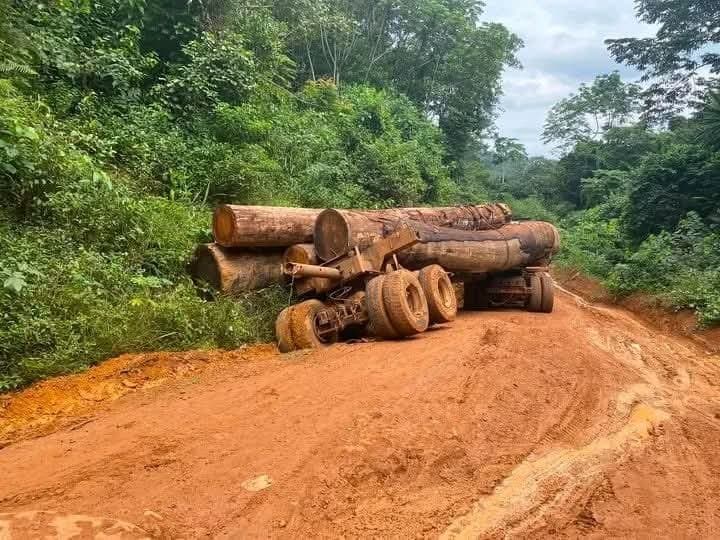Région du Sud : Les camions de bois paralysent un axe stratégique Bipindi-Lolodorf