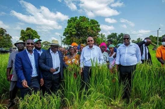Extrême-Nord : 105 millions de FCFA distribués à 70 organisations agropastorales