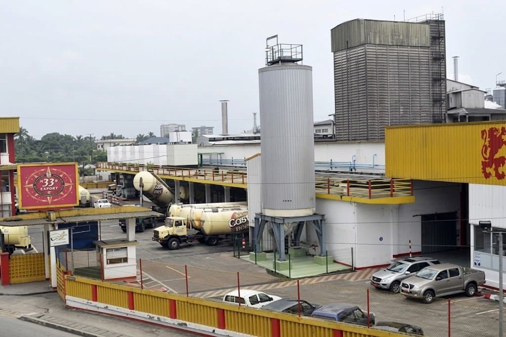 Publicité brassicole : Boissons du Cameroun et Source du Pays concentrent 61,9 % des investissements