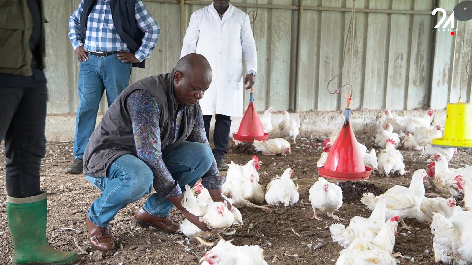 Filière avicole : Les États-Unis contestent l’interdiction du poulet importé au Gabon