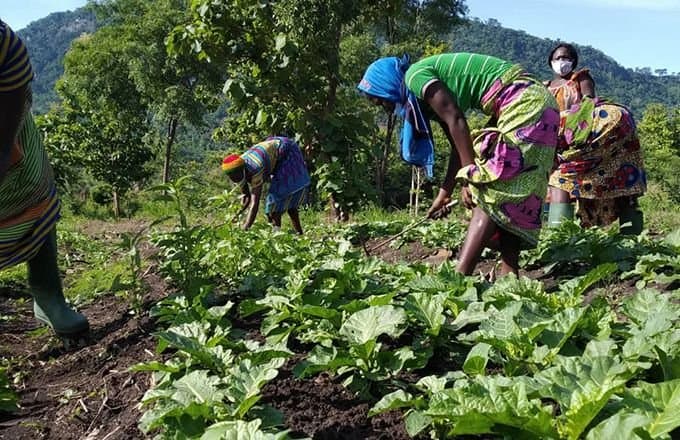 Entrepreneuriat agricole : La Banque mondiale veut structurer les activités des femmes dans le Septentrion