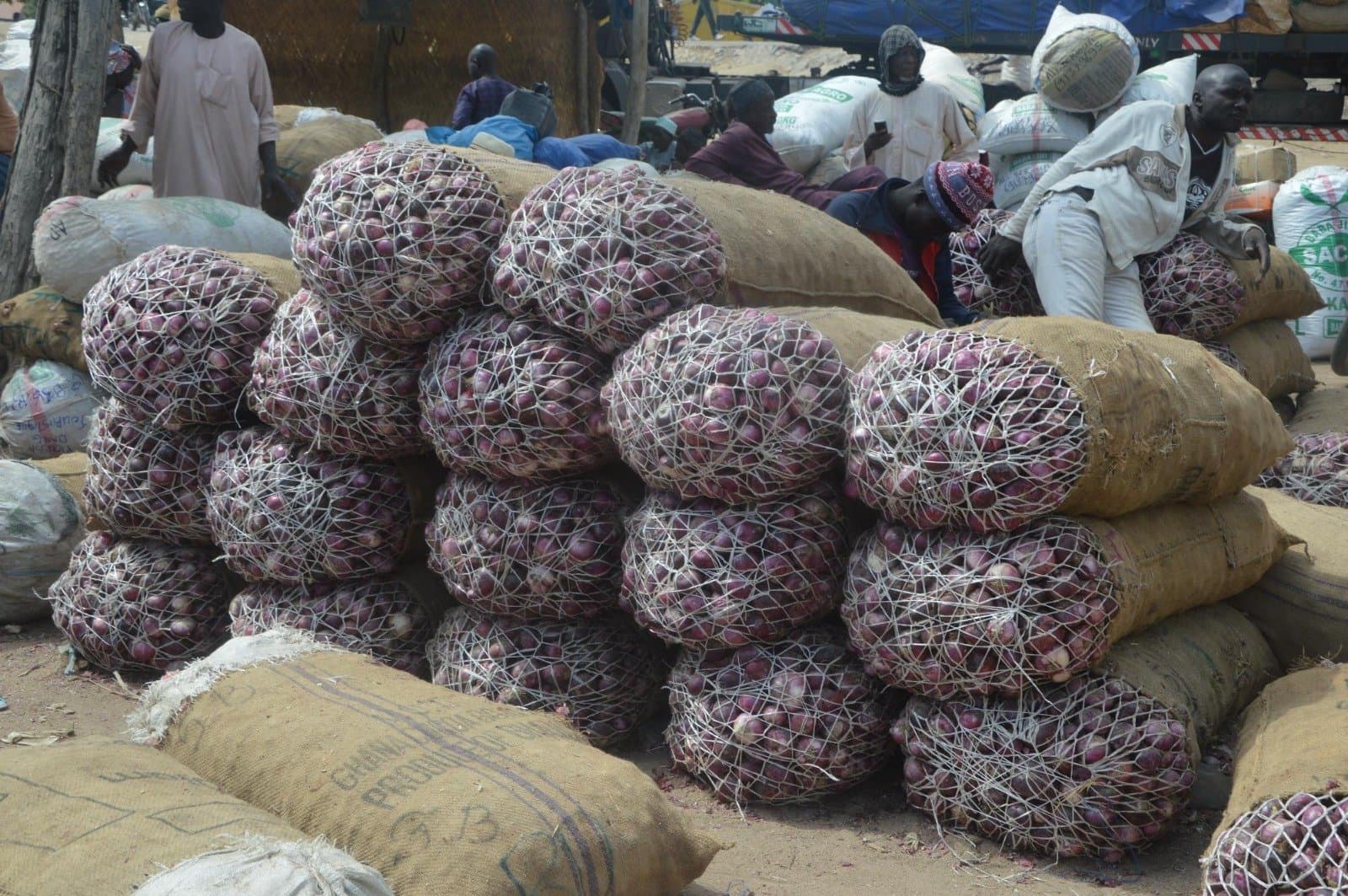 Du champ à l’assiette : Nord Cameroun, Quand la sécurité alimentaire se cultive.